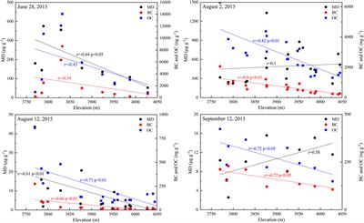 Light-Absorbing Impurities on Urumqi Glacier No.1 in Eastern Tien Shan: Concentrations and Implications for Radiative Forcing Estimates During the Ablation Period